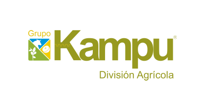 Division_grupokampu